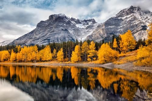 صورة الفندق 10