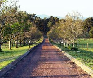 Blueberry Hill Vineyard Villa Rothbury Australia