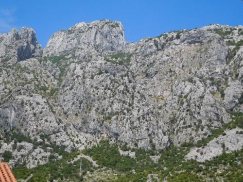 صورة الفندق 14