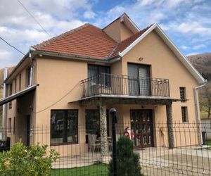Casa Larisa Biharmagura Romania
