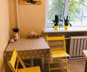 Sunflower Apartment near Kiev airport & railway station & center city Kiev Ukraine