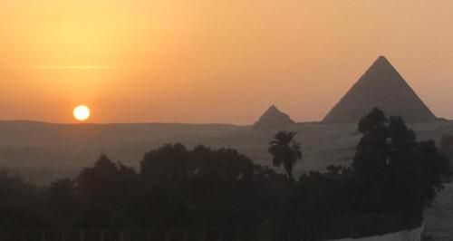 صورة الفندق 17