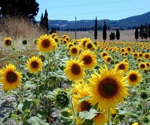 Appartamento Pia. Tuoro sul Trasimeno Italy