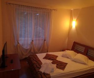 CENTRAL APARTAMENT Predeal Romania