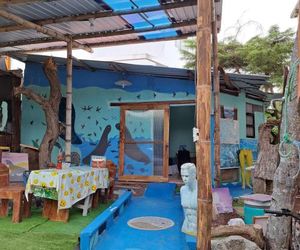 Cozyhostinggalapagos Puerto Ayora Ecuador