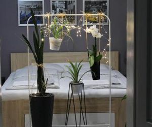 Viky Apartment Satu Mare Romania