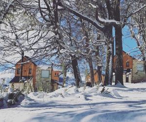 Bosque Nevado San Martin De Los Andes Argentina