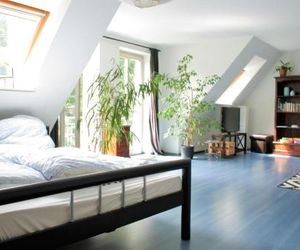 Zentrale Ferienwohnung im Sonnenblumenhaus Flensburg Germany