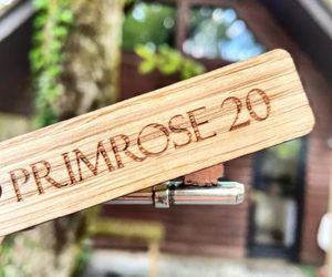 Primrose 20-Woodland Lodges-Carmarthen-Pembroke Llanginning United Kingdom
