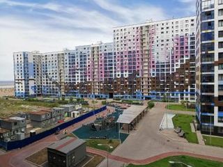 Blossom Apartment