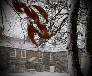 The Tree House Durham United Kingdom