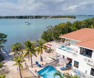 Island Time Gecko Placencia Belize