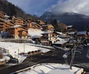 Luxury Apartment, 350m to ski lift, south facing, close to town centre Morzine France