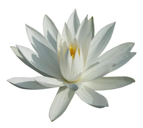 صورة الفندق 13