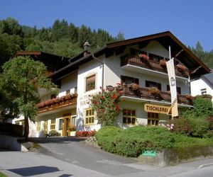 Gastehaus Haffner Zell am See Austria