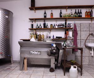 Traditional Wine County Apartment SU1 Truscolo Slovenia