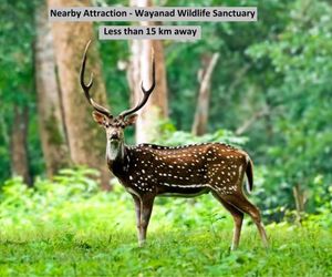 Well-Furnished 1BR Abode in the scenic Wayanad Sultans Battery India