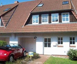 Kranichrast Zingst Germany