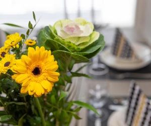 Tuomas´ luxurious suites, Kaakkuri Rovaniemi Finland