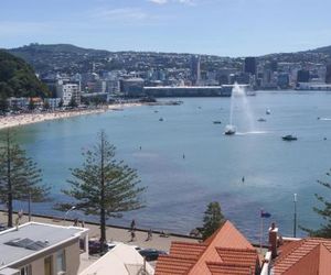 Oriental Bay At Its Best Wellington New Zealand