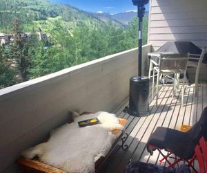 Great Mountain View, Walk to Lions Head Gondola. Walk a little, SAVE A LOT Vail United States