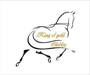 King of Gold Stables (appartement met stalling voor 4 paarden) Zutendaal Belgium