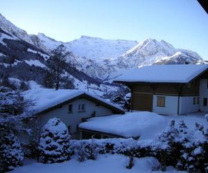 Chalet Petite Fleur Adelboden Switzerland