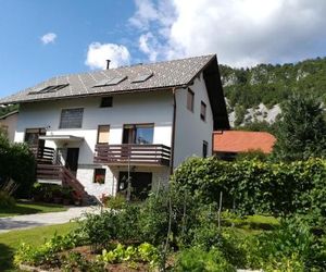 Apartment Ajdna / Whole flat in a house close to Bled Breg Slovenia
