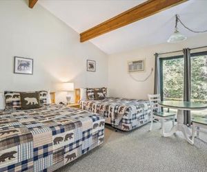 Cedarbrook Standard Hotel Room 105 Killington United States