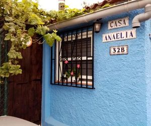 casa anaelia La Orotava Spain