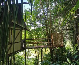 Colina Secreta Puerto Viejo de Talamanca Costa Rica