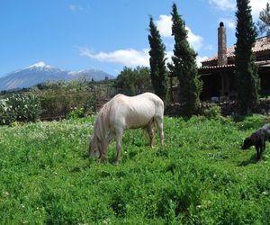 HomeLike Volcano Views ECO-House + Wifi Los Silos Spain