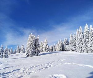 Ferienwohnung Feldberg - Ferienresidenz Grafenmatt Feldberg Germany