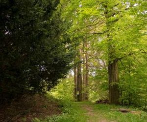 App 622 Panoramic Hohegeiß mit WLan Terrassenhaus Braunlage Germany