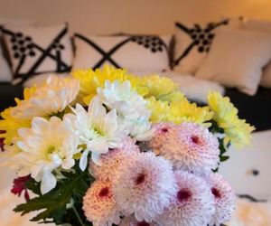 Tuomas´ luxurious suites, Mustikka Rovaniemi Finland