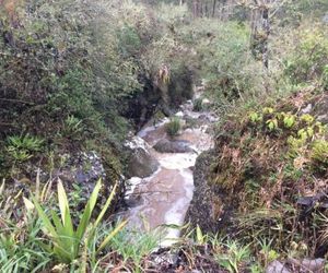 The OASIS Eco Resort Cuenca Ecuador