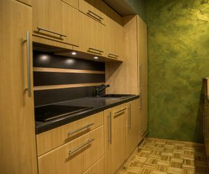 Modern City Center Apartment Ostrava Czech Republic