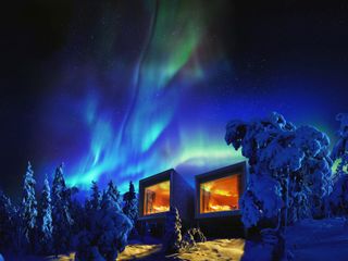 Фото отеля Arctic TreeHouse Hotel