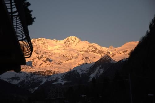 صورة الفندق 15