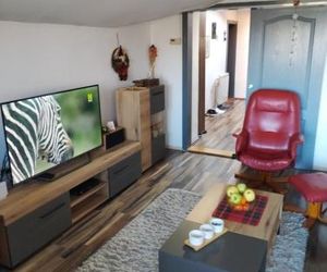 Apartment Viktor Zemun Serbia