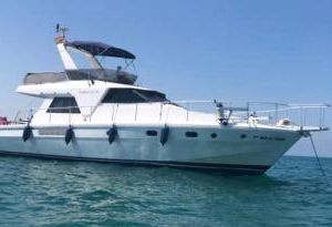 Beautiful Kiwi Boat Sant Adria de Besos Spain