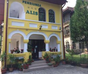 Pensiunea Alis Calimanesti Romania