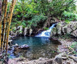 Hamakua House and Camping Cabanas Hilo United States