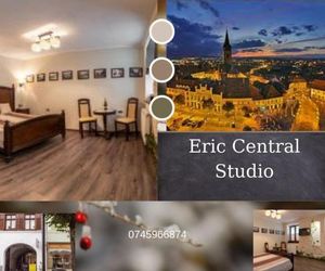Eric Central Studio Sibiu Romania