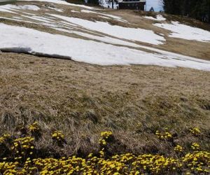 Ferienwohnung Feldberg schwarzwaldschön Feldberg Germany