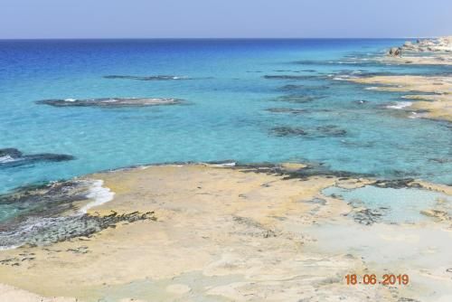 صورة الفندق 4