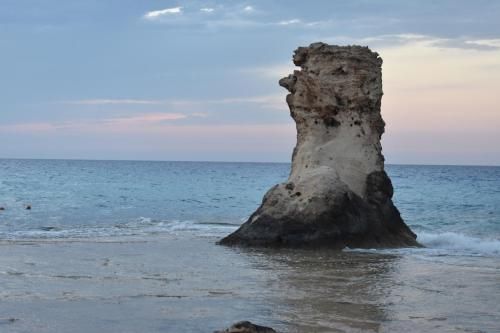 صورة الفندق 5