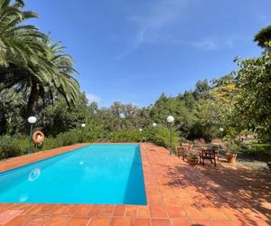 Casa Rural en medio del bosque, El Lance Teror Spain