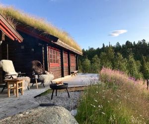 Lillesander - 3 bedroom cabin Aal Norway