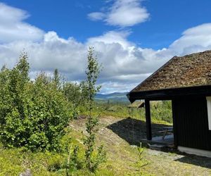 Linnaeus - 6 person cabin Aal Norway